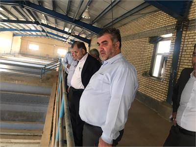 بازدید مدیرعامل آبفا کشور از مسجدسلیمان